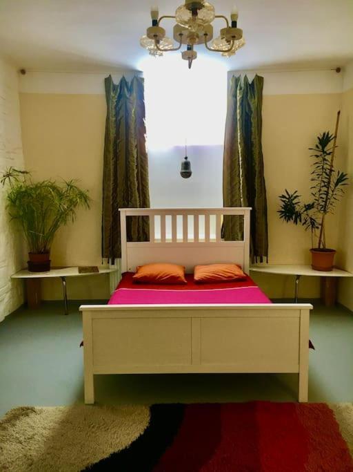 Vintage Studio Apartment, Garden And Free Parking Budapest Eksteriør billede