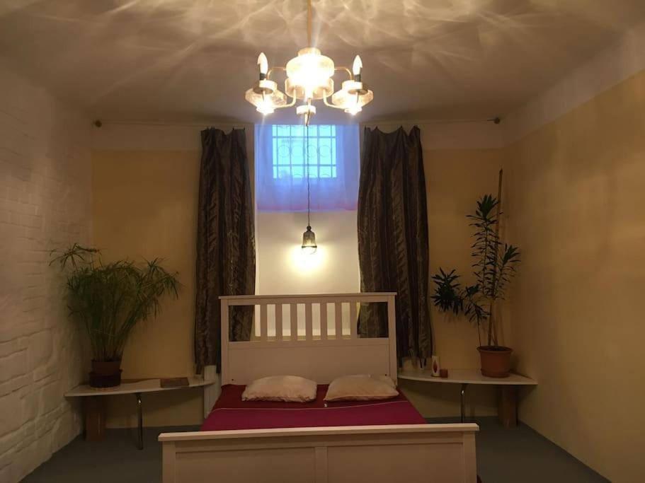 Vintage Studio Apartment, Garden And Free Parking Budapest Eksteriør billede