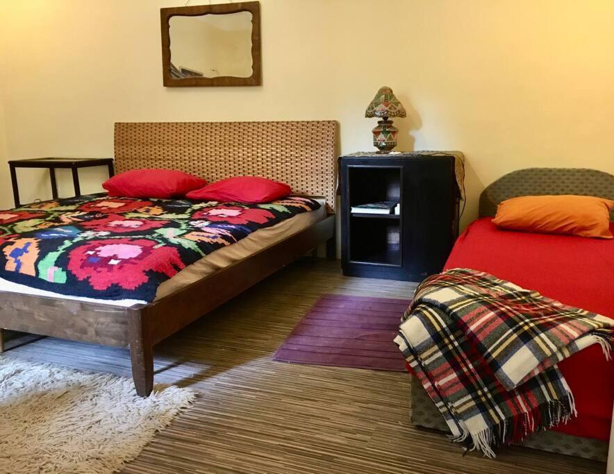 Vintage Studio Apartment, Garden And Free Parking Budapest Eksteriør billede