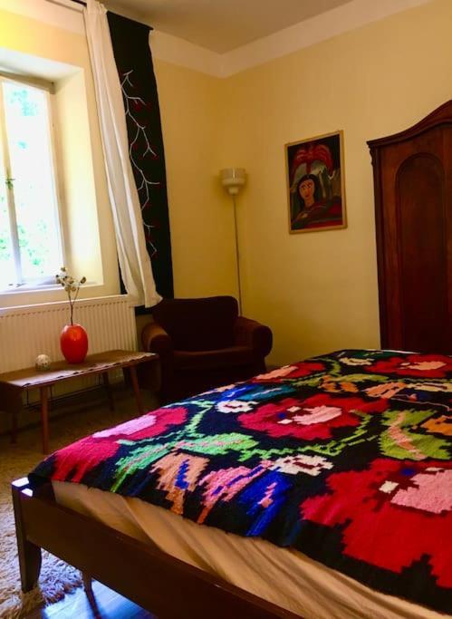 Vintage Studio Apartment, Garden And Free Parking Budapest Eksteriør billede